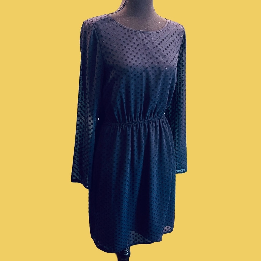 J. Crew Navy Swiss Dot Sheer Sleeve Dress Women’s 2 Fit & Flare Mini Coquette